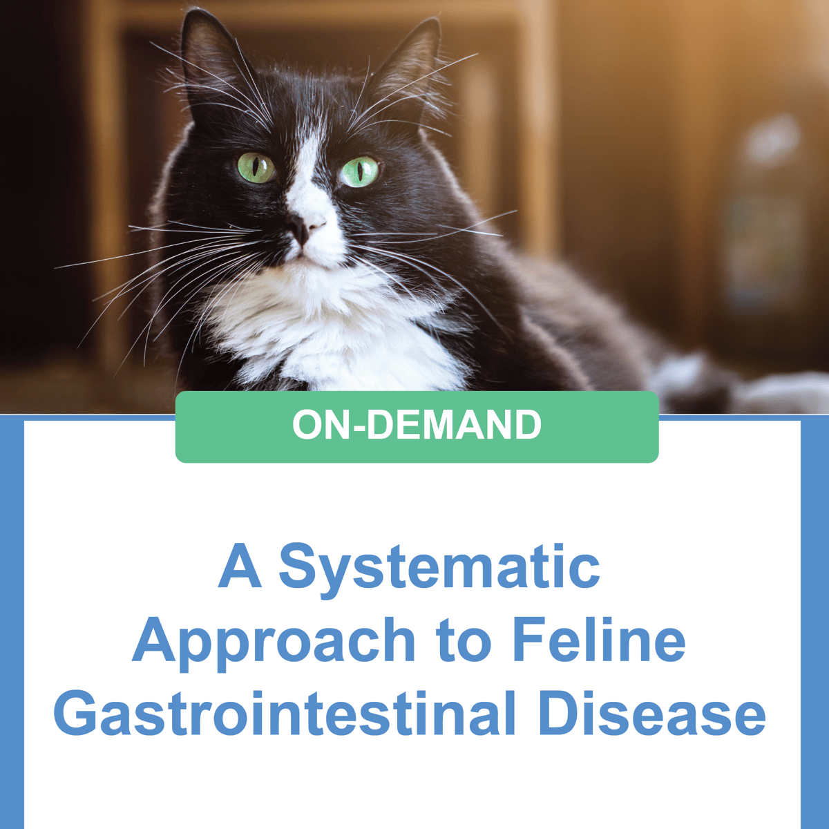 Feline Gastrointestinal_on demand